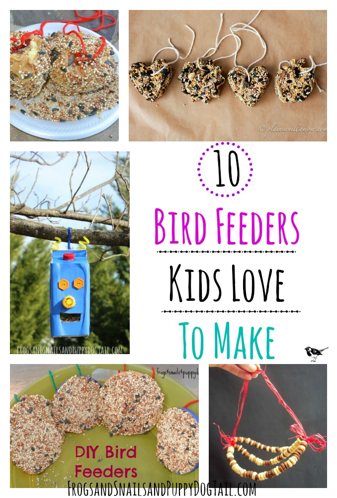 10 Bird Feeders Kids Love to Make 