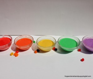 Jelly Bean Sensory Paints