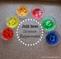 jellybeanscienceexperiment2