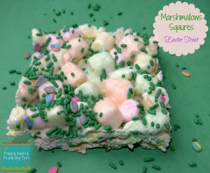  Marshmallow Squares {An Easter Treat}