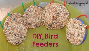 Bird feeders from plastic lids