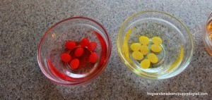 Jelly Bean Science Experiment 
