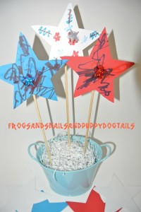 Star Center piece for memorial Day or 4th of July