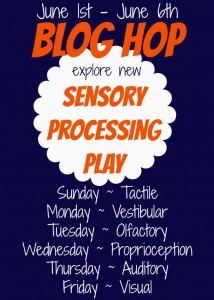 Sensory Processing Play Blog Hop