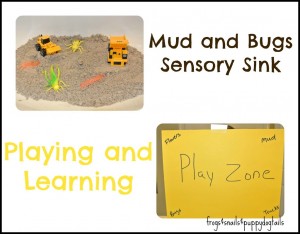Mud and Bugs {Sensory Sink}