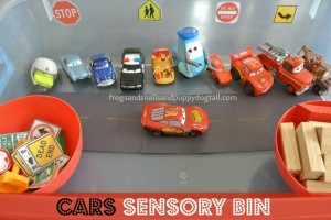 Cars Sensory bin FSPDT