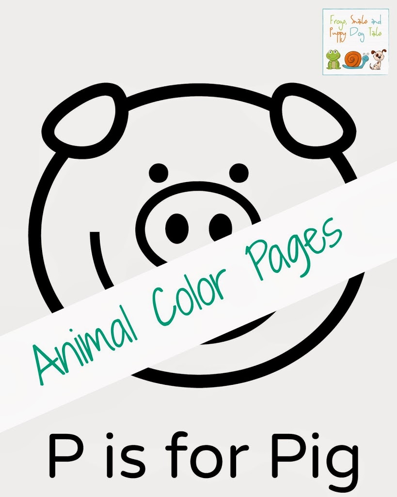 Animal Color Pages 