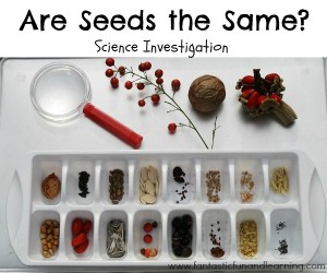 Are Seeds the Same Science Investigation