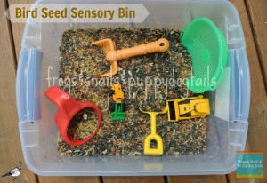 Bird Seed Sensory Bin