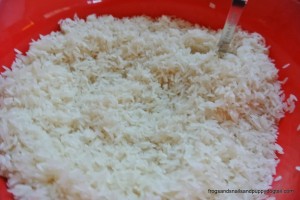 Sugar Cookie Rice Play Recipe by FSPDT
