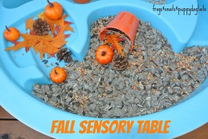 Fall Sensory Table