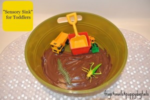 "Sensory Sink" for toddlers{mud and bugs}