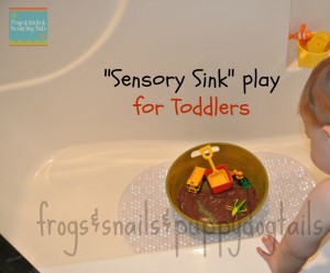 "Sensory Sink" for toddlers{mud and bugs}