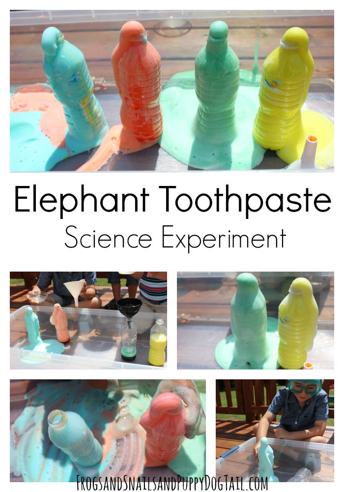 elephant toothpaste science experiment 