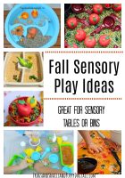 Fall Sensory Play Ideas great for sensory tables or bins