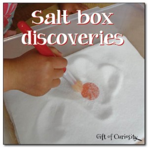 Salt box discoveries >> Gift of Curiosity