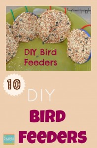 10 Bird Feeders Kids Love