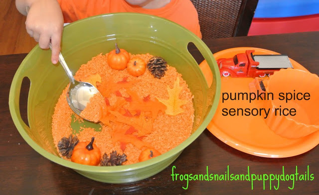 Pumpkin Spice Rice Fall Sensory Bin- fun hands on play