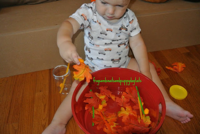 Fall Sensory Bin-toddler