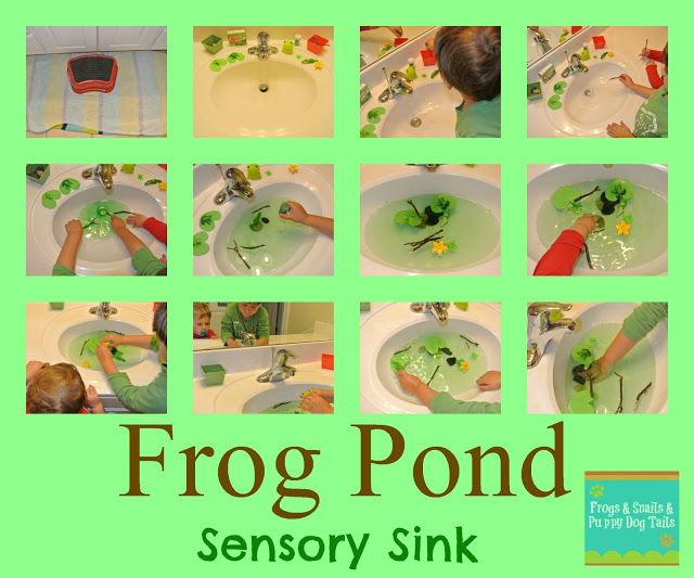 Frog Pond {Sensory Sink}