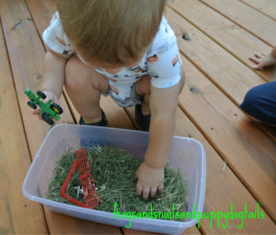 Fresh Grass sensory bin with farm theme