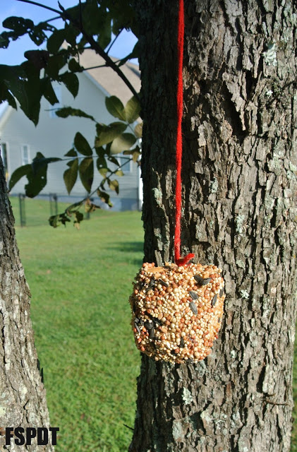 Apple bird feeder