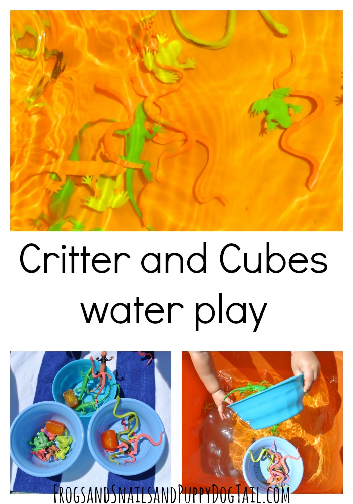Critter and cube water play