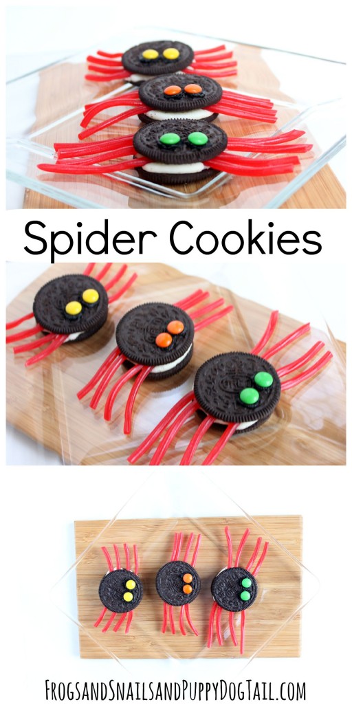 fun spider cookies for halloween