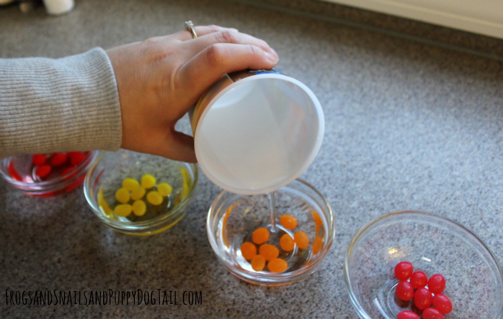 jelly bean experiment for kids 