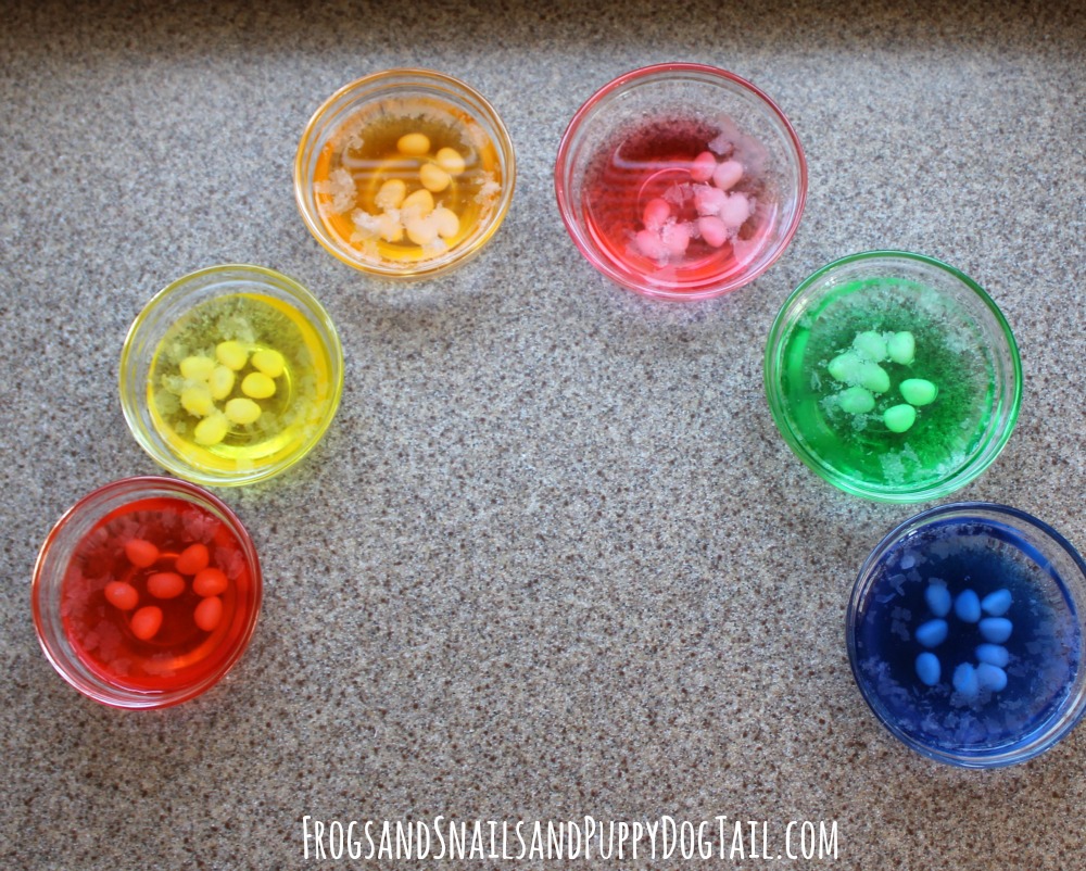 jelly bean science for kids 