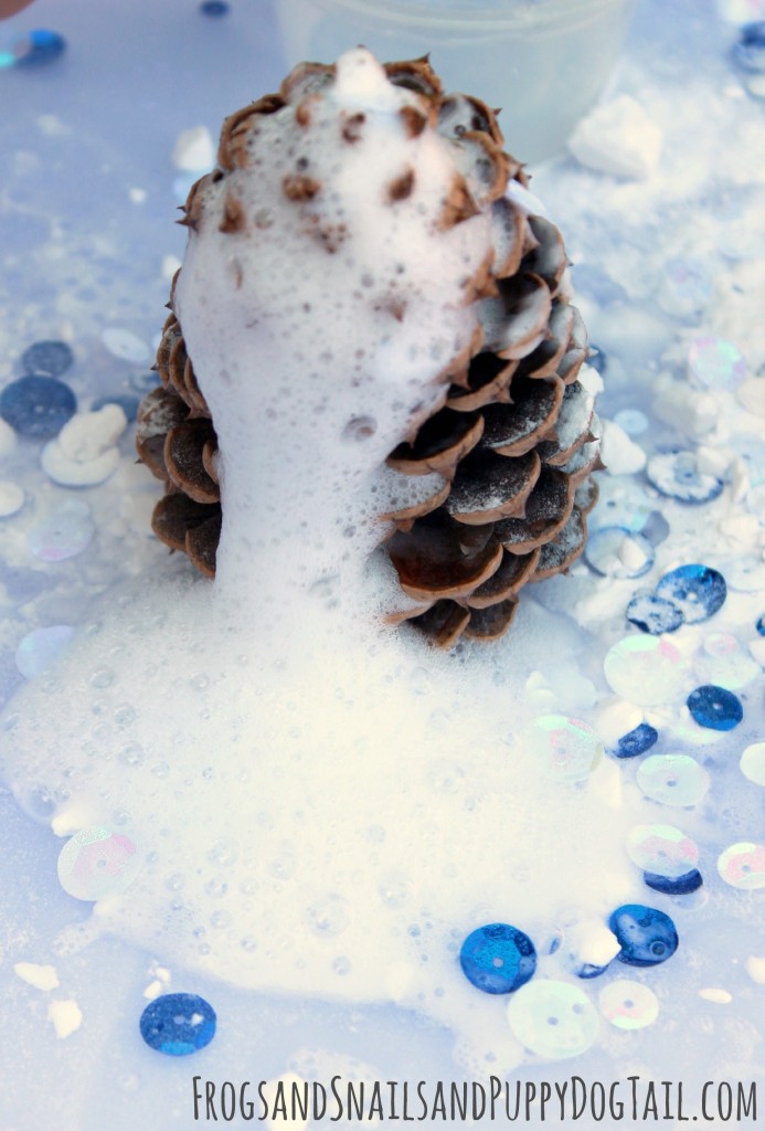 pine cone bubbling science