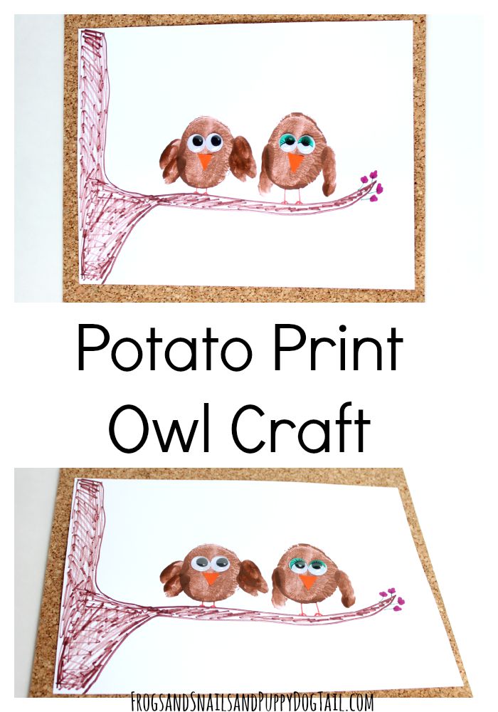 potato print owl craft for kids 