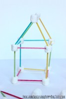 toothpick and marshmallow building