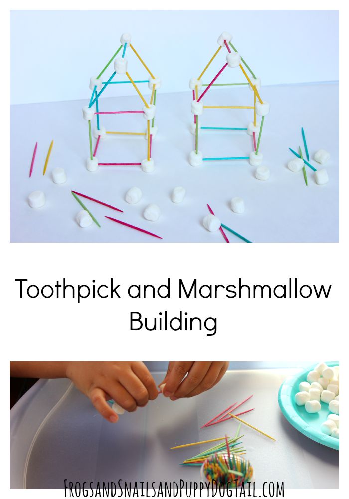 Toothpick and Marshmallow Building