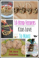 10 Bird Feeders Kids Love To Make