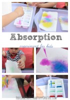 Absorption Experiment for Kids