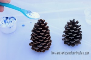 pine cone science