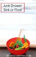Junk Drawer Sink or Float simple science for kids