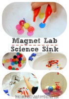 Magnet lab science sink