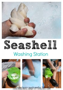 Seashell Washing Station for Kids