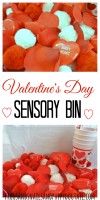 valentines' day sensory bin
