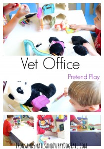 Vet Office Pretend Play for Kids