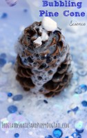 Bubbling pine cone science