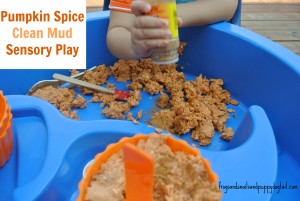 pumpkin clean mud sensory play idea