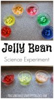 Jelly Bean Science Experiment for Kids