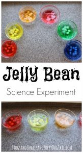 Jelly Bean Science Experiment for Kids