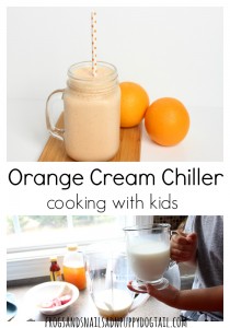 Orange Cream Chiller