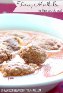 Turkey meatball recipe